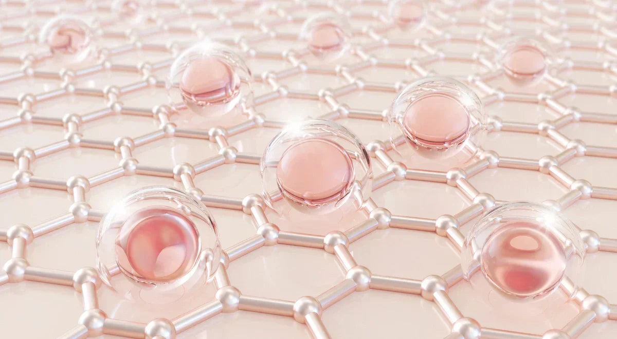 estructura-del-colageno