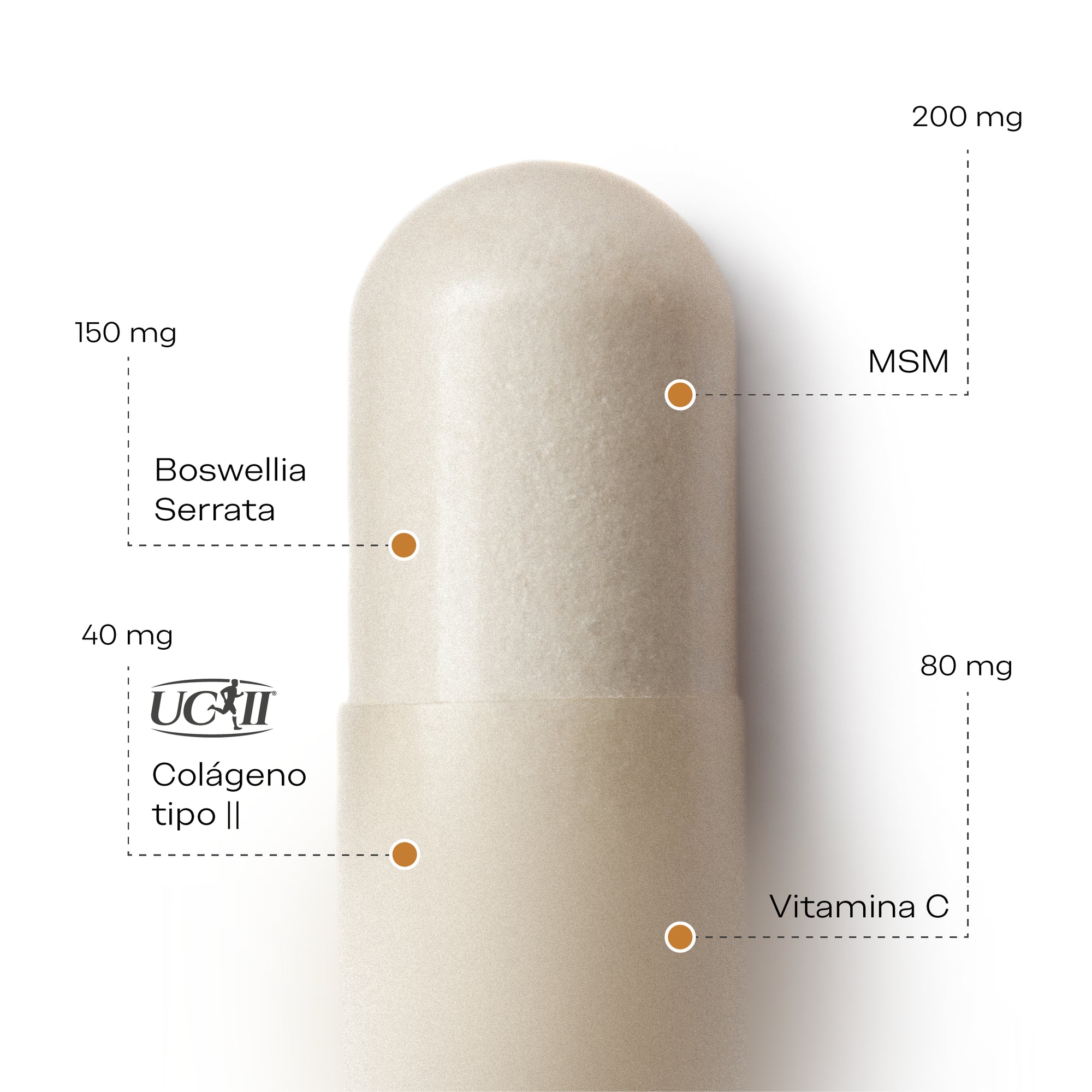 Artiboost ingredientes