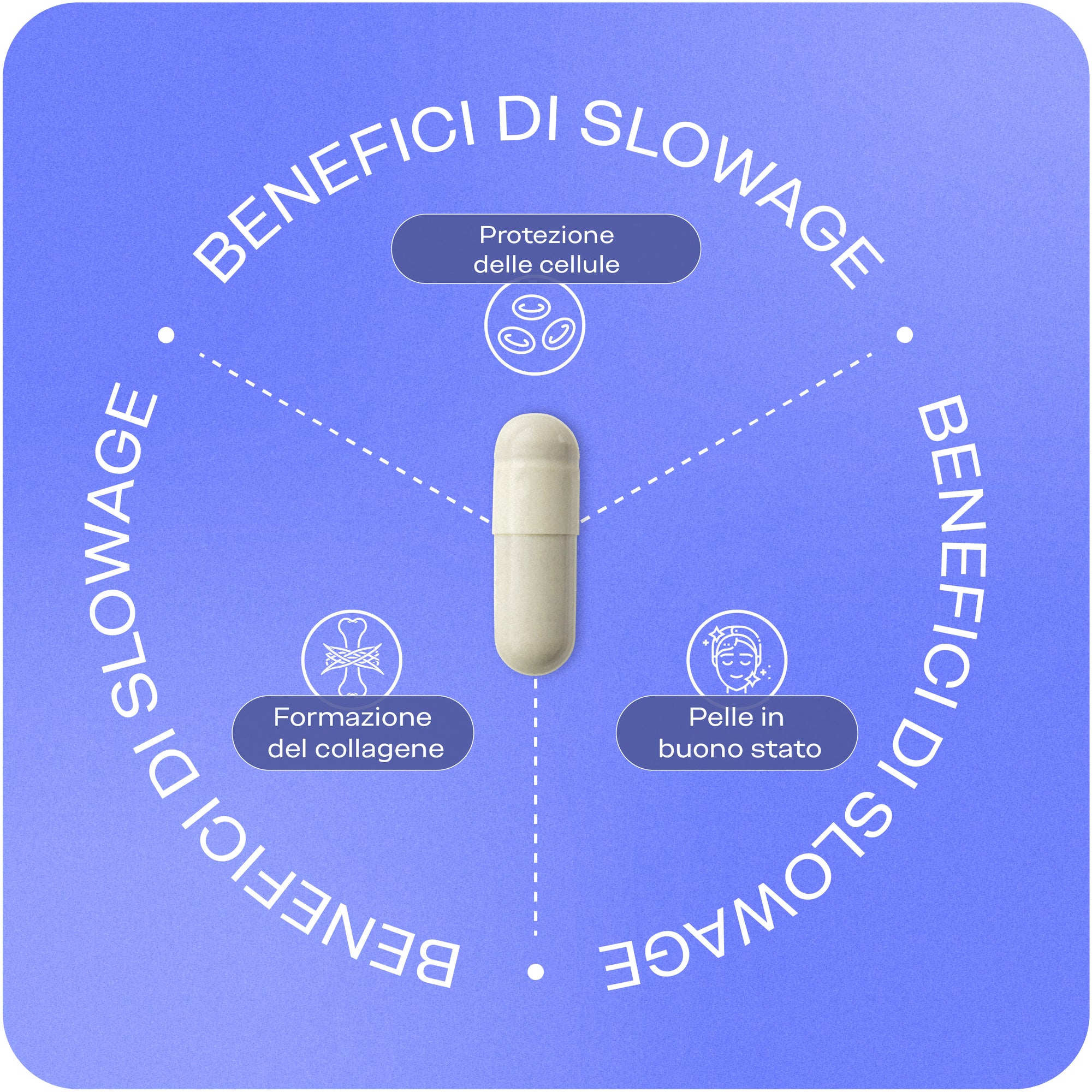 Benefici di Slow Age Viteba