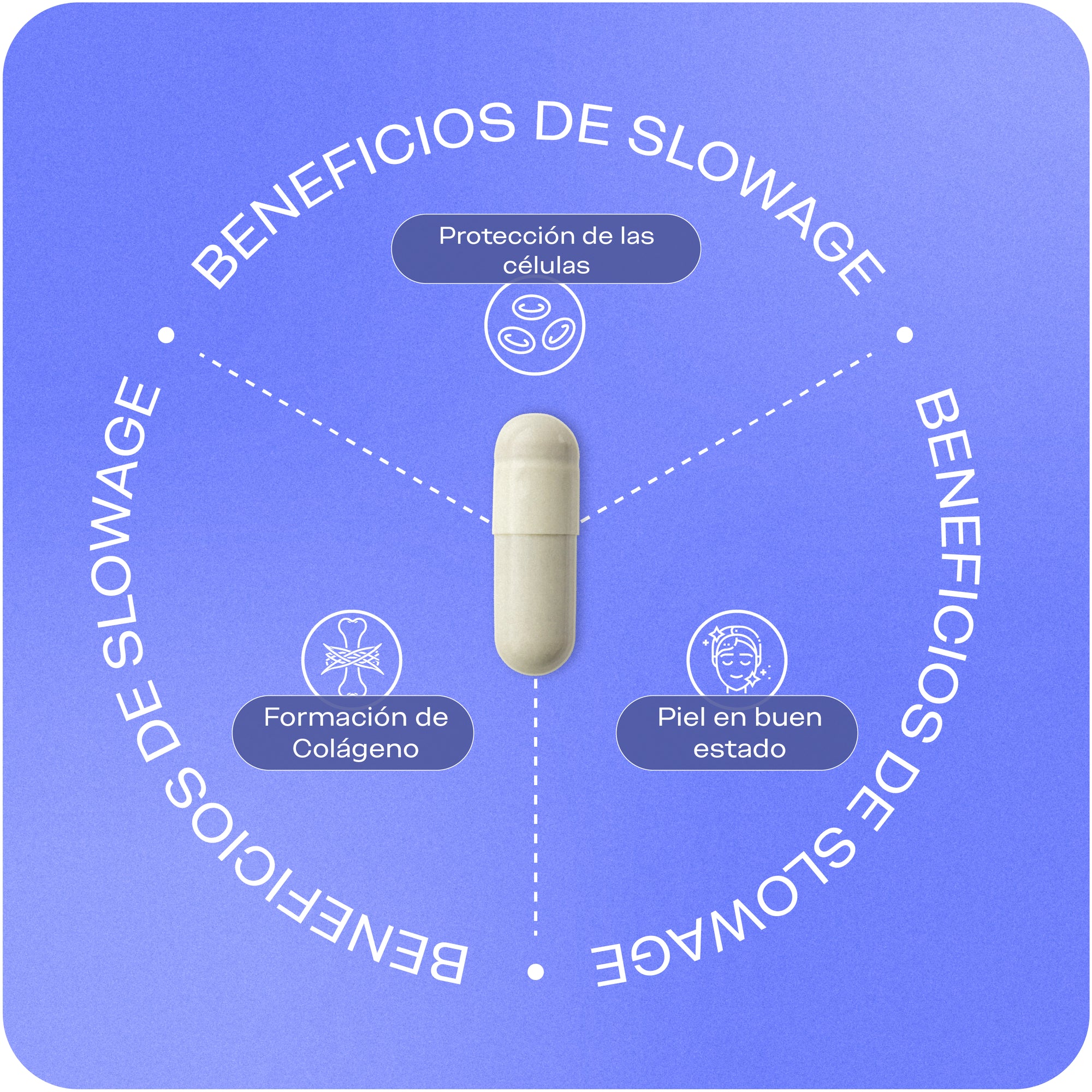 Beneficios de Slow Age