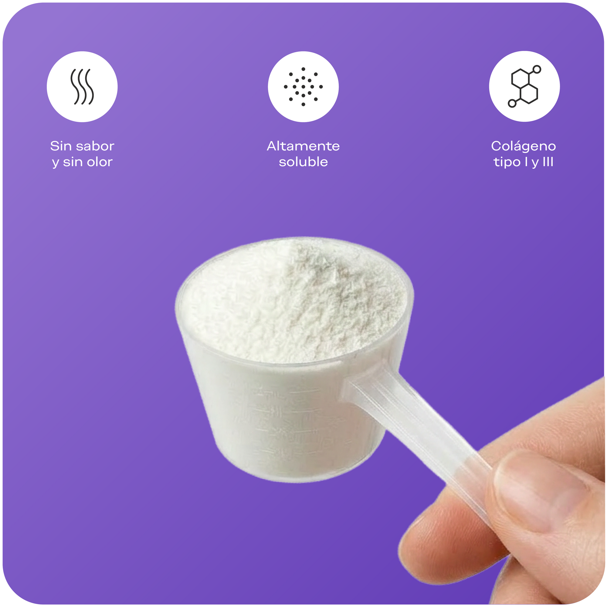 Colágeno sin sabor ni olor, altamente soluble y tipo I y III