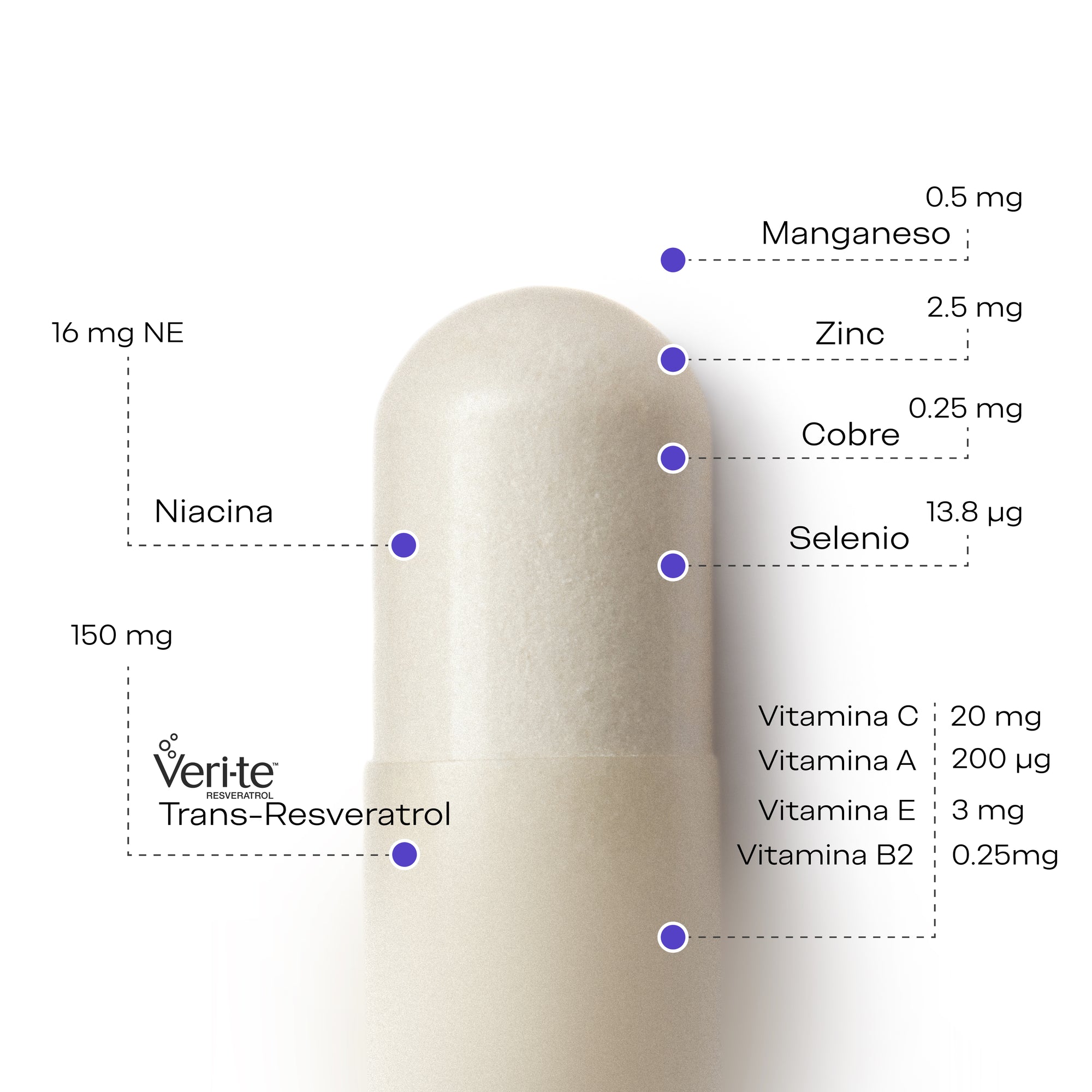 SlowAge_ingredientes